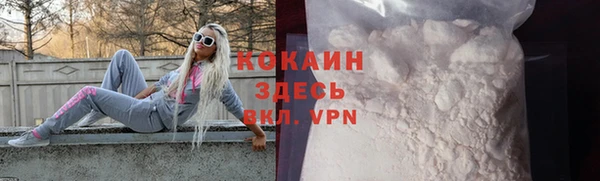 сатива Белокуриха