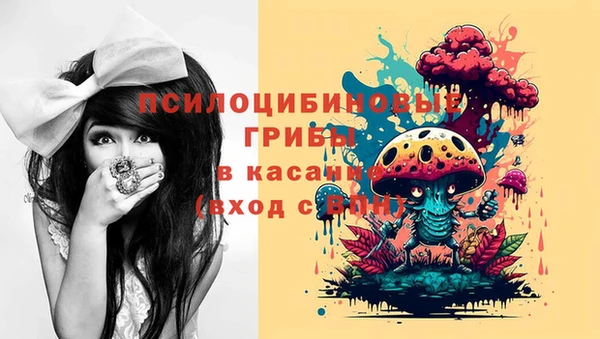 сатива Белокуриха