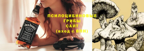 дживик Беломорск